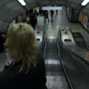 Meet your Posher, Bea